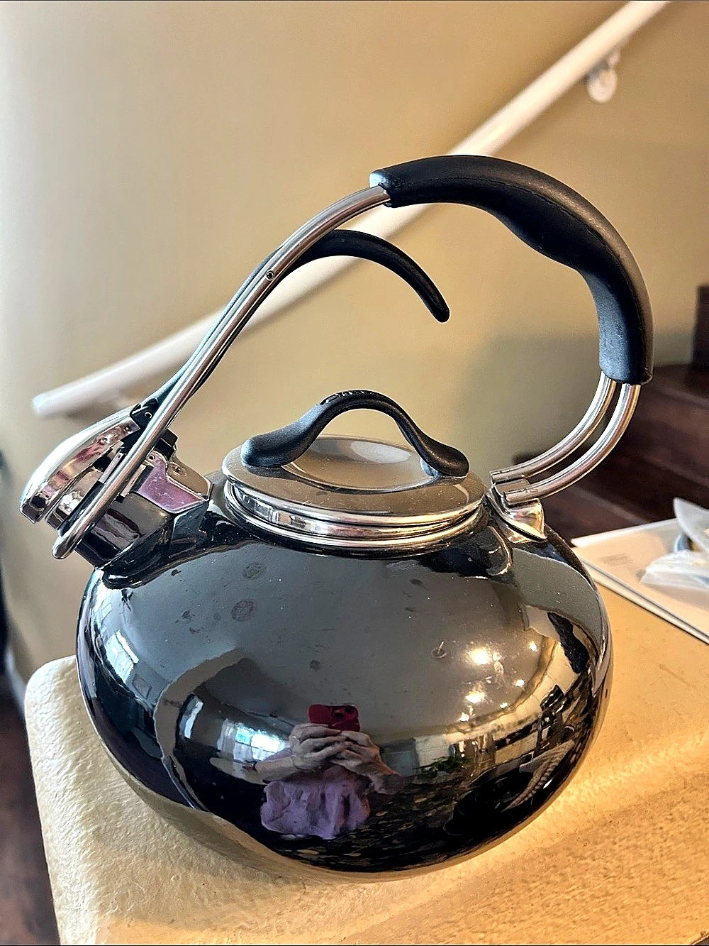 Chantal Classic Loop Enamel-on-Steel Whistling Tea Kettle Stovetop Kettle